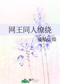 《网王同人缭绕》