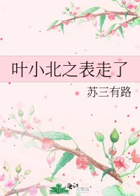 《叶小北之表走了》