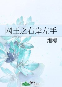 网王之右岸左手