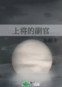 《上将的副官》