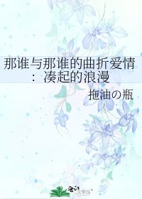 《那谁与那谁的曲折爱情:凑起的浪漫》