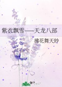 《紫衣飘雪——天龙八部》