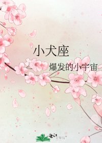 《小犬座》