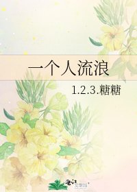 《一个人流浪》