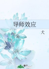 导师效应