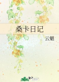 《桑卡日记》