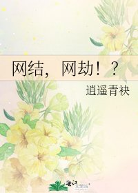 网结,网劫!?