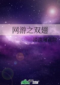《网游之双翅》
