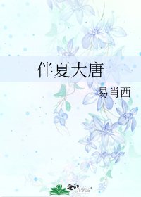 《伴夏大唐》