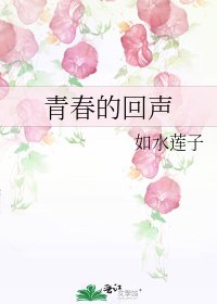 《青春的回声》