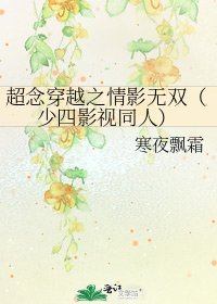 《超念穿越之情影无双(少四影视同人)》