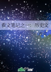 看文笔记之一：历史文