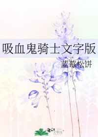 《吸血鬼骑士文字版》