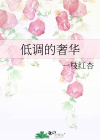 《低调的奢华》