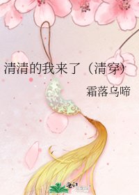 《清清的我来了(清穿)》