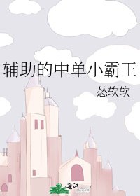辅助的中单小霸王