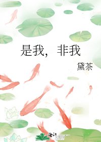 《是我,非我》