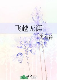 《飞越无涯》