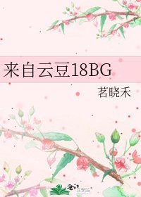 《来自云豆18BG》