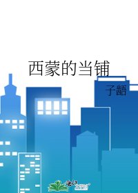 西蒙的当铺