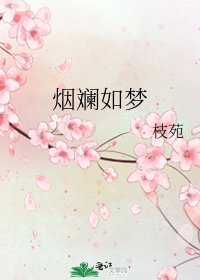 《烟斓如梦》