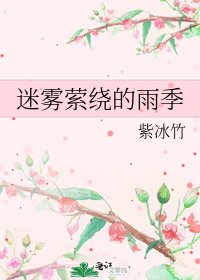 迷雾萦绕的雨季