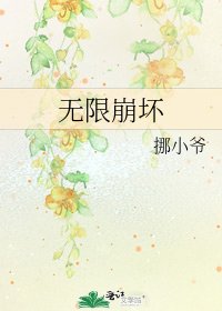 《无限崩坏》
