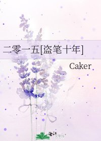 二零一五[盗笔十年]