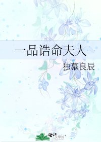 《一品诰命夫人》