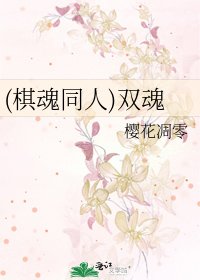 《(棋魂同人)双魂》