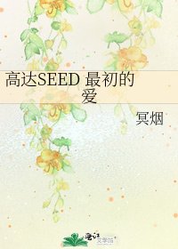 《高达SEED 最初的爱》