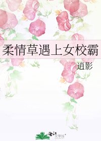 柔情草遇上女校霸