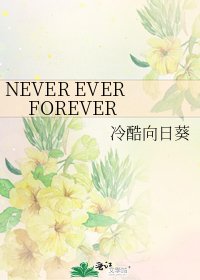 《NEVER EVER FOREVER》