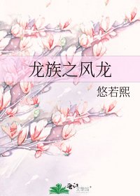 《龙族之风龙》