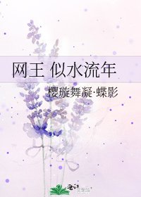 《网王 似水流年》
