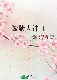 《酱紫大神Ⅱ》