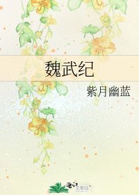 《魏武纪》