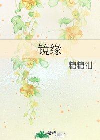 《镜缘》