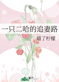 一只二哈的追妻路