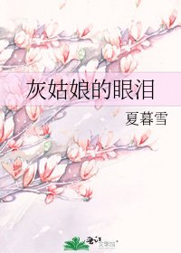 《灰姑娘的眼泪》