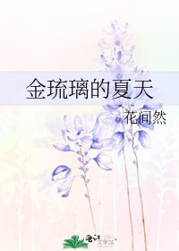 《金琉璃的夏天》