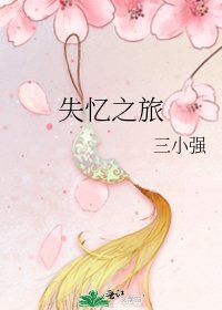 失忆之旅