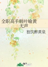 全职高手韩叶喻黄 无声