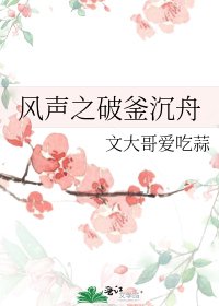 《风声之破釜沉舟》