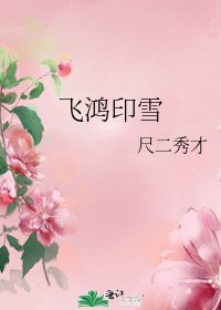 飞鸿印雪
