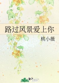 《路过风景爱上你》
