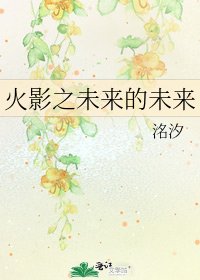 《火影之未来的未来》
