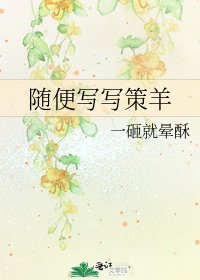 《随便写写策羊》
