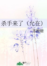 《杀手来了(允在)》