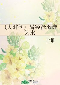 （大时代）曾经沧海难为水